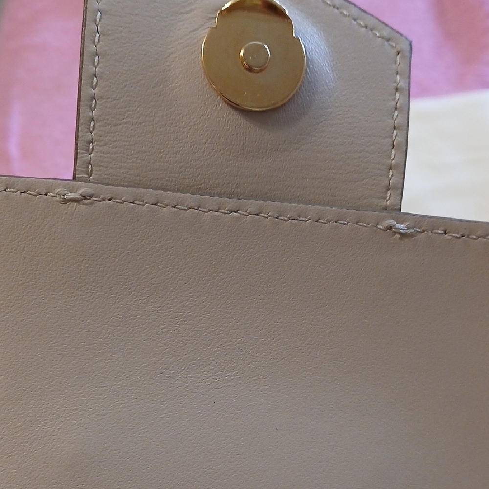 Banana Republic Pale Taupe Leather Circle Crossbody Bag - Picture 6 of 11